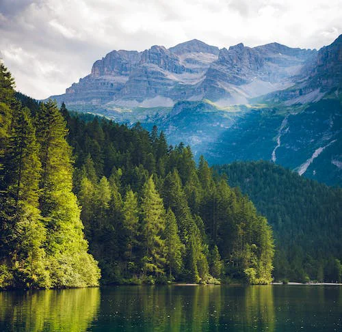 Our Commitment To Nature’s Safety